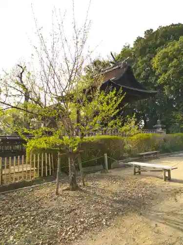 阿智神社の本殿・本堂