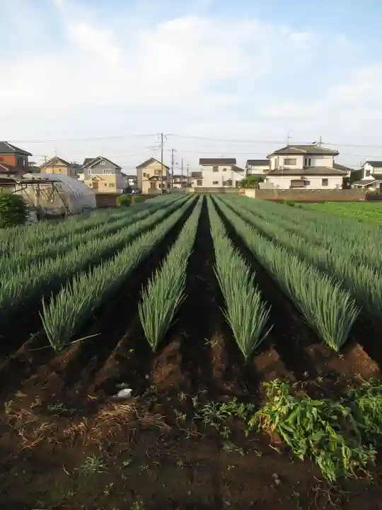 尾崎天神宮(千葉県)