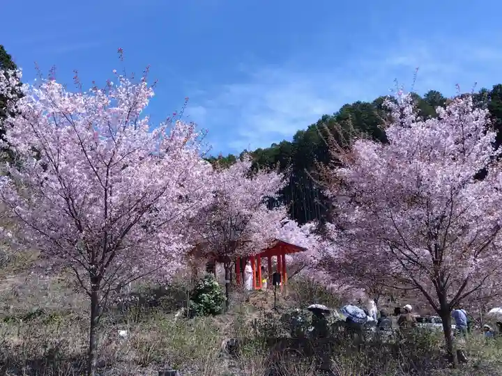 宝泉寺(京都府)