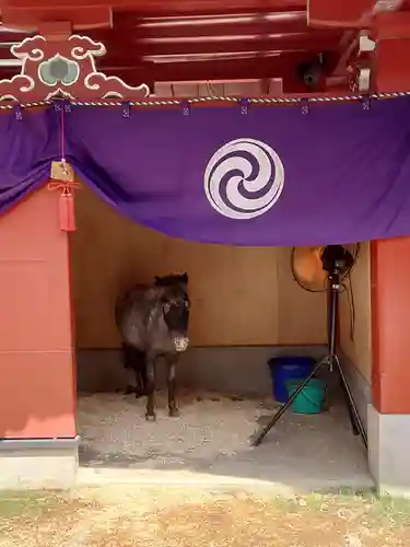 神田神社（神田明神）(東京都)