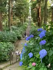 磯山神社の庭園