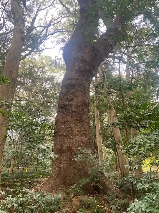 伊雜宮(皇大神宮別宮)(三重県)