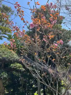 瀧口神社(千葉県)