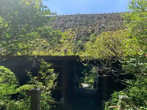 杉本寺(神奈川県)