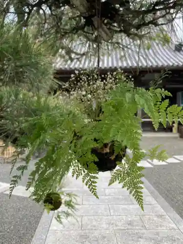 多聞寺のその他建物