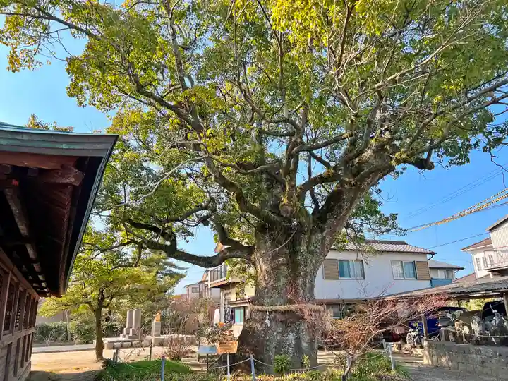 志賀神社の自然