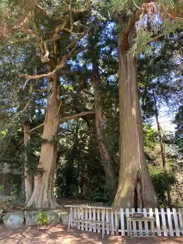 鎌数伊勢大神宮(千葉県)