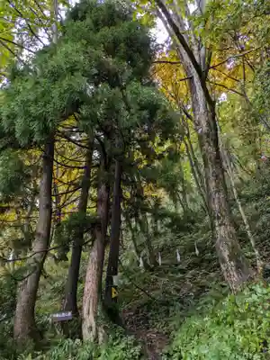 戸隠神社奥社の周辺