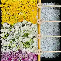 土津神社|こどもと出世の神さま(福島県)