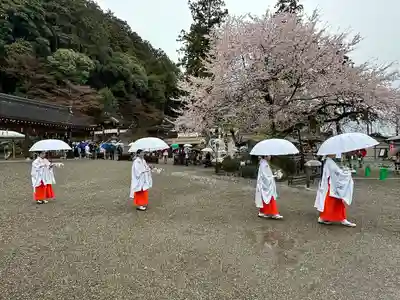 高麗神社(埼玉県)