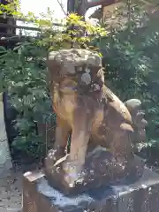 蹉跎神社の狛犬