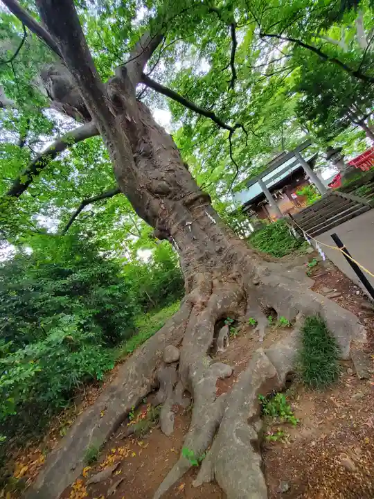 愛宕神社(福島県)
