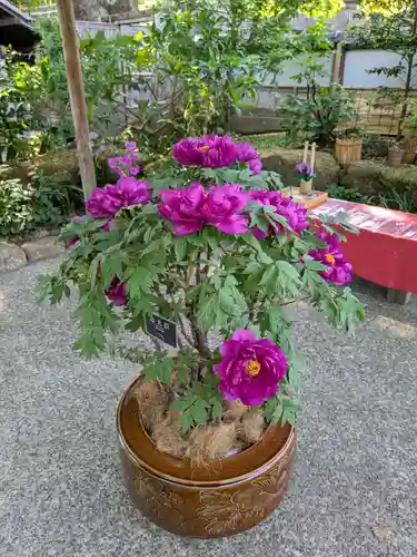 上野東照宮(東京都)