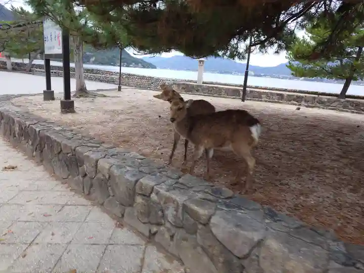 厳島神社(広島県)
