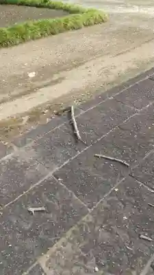 薬王院のその他建物