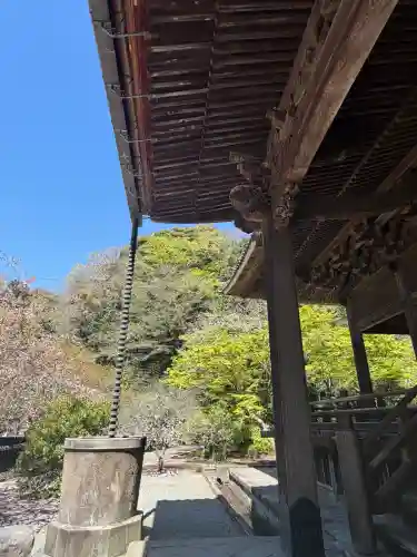 妙本寺の{uncategorized: "未分類", other: "その他", undefined: "問題あり", building: "その他建物", grave: "お墓", sacred_gate: "鳥居", guardian: "狛犬", statue: "像", buddha: "仏像", history: "歴史", nature: "自然", garden: "庭園", animal: "動物", pagoda: "塔", temizu: "手水舎", mountain_gate: "山門・神門", sanctuary: "本殿・本堂", subordinate: "末社・摂社", art: "芸術", scenery: "景色", jizo: "地蔵", ema: "絵馬", goshuin: "御朱印", omikuji: "おみくじ", items: "授与品その他", amulet: "お守り", goshuincho: "御朱印帳", eats: "食事", festival: "お祭り", votive_dance: "神楽", shichigosan: "七五三参", wedding: "結婚式", experience: "体験その他", initially: "初詣", around: "周辺", anti_infection: "感染症対策"}
