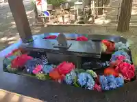 新琴似神社(北海道)