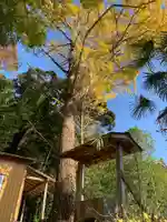 麻賀多神社(千葉県)