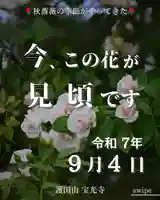 宝光寺(北海道)