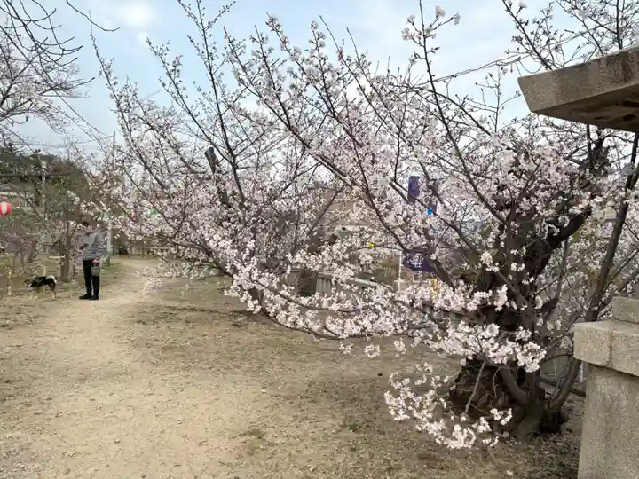 兵庫縣神戸護國神社の自然