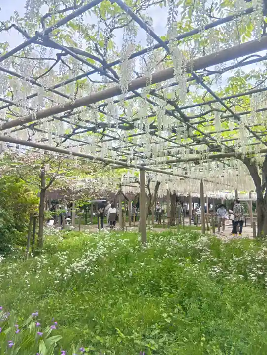 曼陀羅寺(愛知県)
