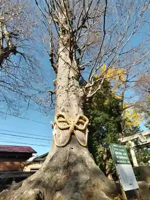 御嶽神社(神奈川県)