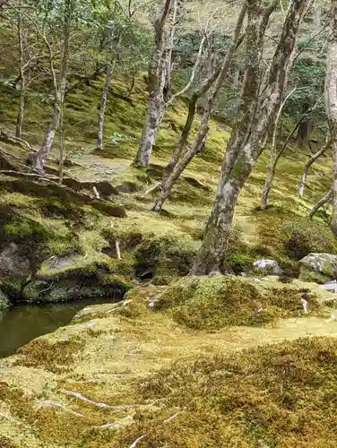 慈照寺（慈照禅寺・銀閣寺）の周辺