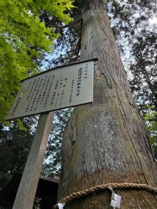 小林瀧尾神社の{uncategorized: "未分類", other: "その他", undefined: "問題あり", building: "その他建物", grave: "お墓", sacred_gate: "鳥居", guardian: "狛犬", statue: "像", buddha: "仏像", history: "歴史", nature: "自然", garden: "庭園", animal: "動物", pagoda: "塔", temizu: "手水舎", mountain_gate: "山門・神門", sanctuary: "本殿・本堂", subordinate: "末社・摂社", art: "芸術", scenery: "景色", jizo: "地蔵", ema: "絵馬", goshuin: "御朱印", omikuji: "おみくじ", items: "授与品その他", amulet: "お守り", goshuincho: "御朱印帳", eats: "食事", festival: "お祭り", votive_dance: "神楽", shichigosan: "七五三参", wedding: "結婚式", experience: "体験その他", initially: "初詣", around: "周辺", anti_infection: "感染症対策"}