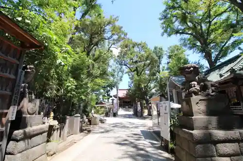 戸越八幡神社の景色