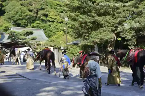 鶴岡八幡宮(神奈川県)