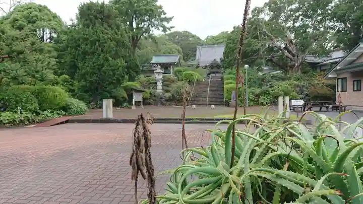 蓮着寺のその他建物