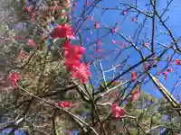 報徳二宮神社の自然