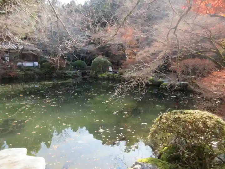 醍醐寺(京都府)