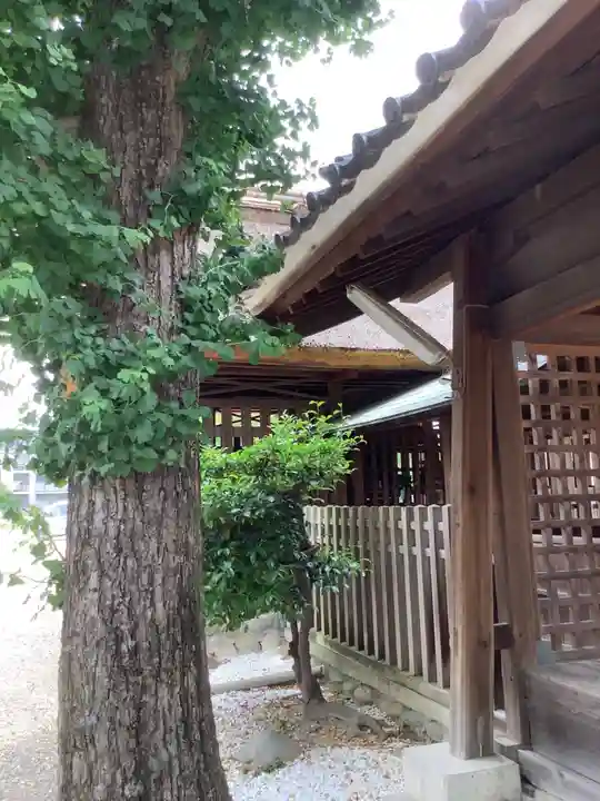 神明社(荒子神明社)の本殿・本堂