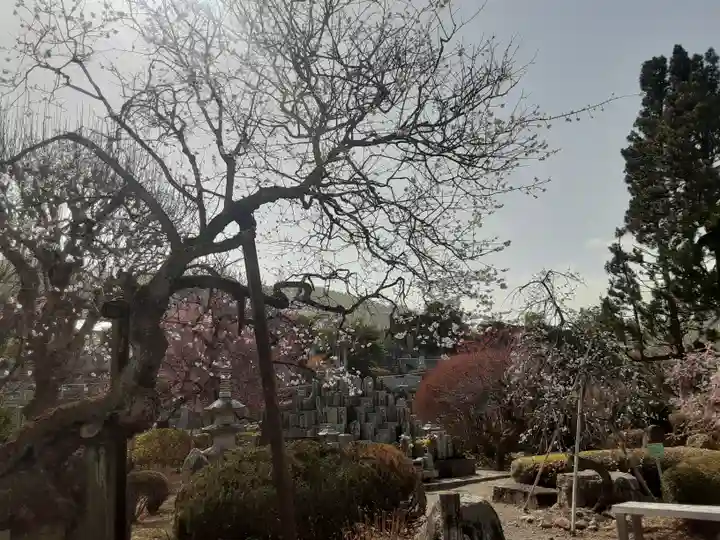 地蔵院(東京都)