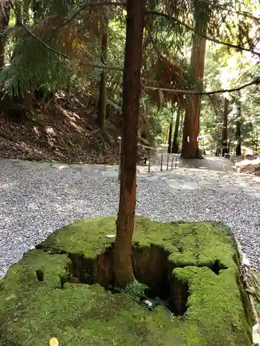 元伊勢内宮 皇大神社の自然