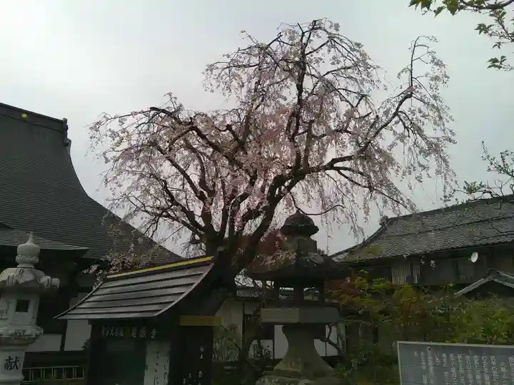 超願寺(山梨県)
