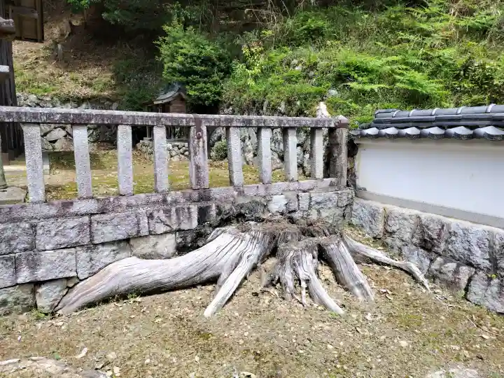 慈久神社の{uncategorized: "未分類", other: "その他", undefined: "問題あり", building: "その他建物", grave: "お墓", sacred_gate: "鳥居", guardian: "狛犬", statue: "像", buddha: "仏像", history: "歴史", nature: "自然", garden: "庭園", animal: "動物", pagoda: "塔", temizu: "手水舎", mountain_gate: "山門・神門", sanctuary: "本殿・本堂", subordinate: "末社・摂社", art: "芸術", scenery: "景色", jizo: "地蔵", ema: "絵馬", goshuin: "御朱印", omikuji: "おみくじ", items: "授与品その他", amulet: "お守り", goshuincho: "御朱印帳", eats: "食事", festival: "お祭り", votive_dance: "神楽", shichigosan: "七五三参", wedding: "結婚式", experience: "体験その他", initially: "初詣", around: "周辺", anti_infection: "感染症対策"}