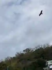 浄運寺の動物