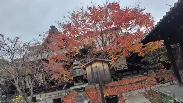勝林寺(京都府)