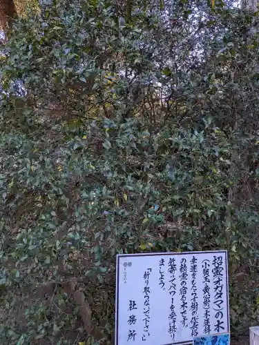 息栖神社(茨城県)