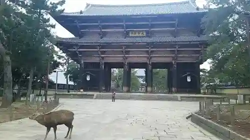 東大寺の山門