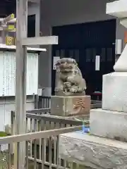 柏神社の狛犬