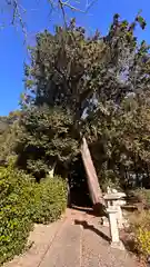 八幡神社(滋賀県)