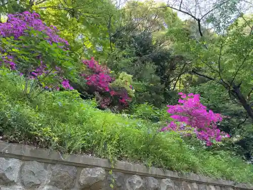 王子神社(東京都)