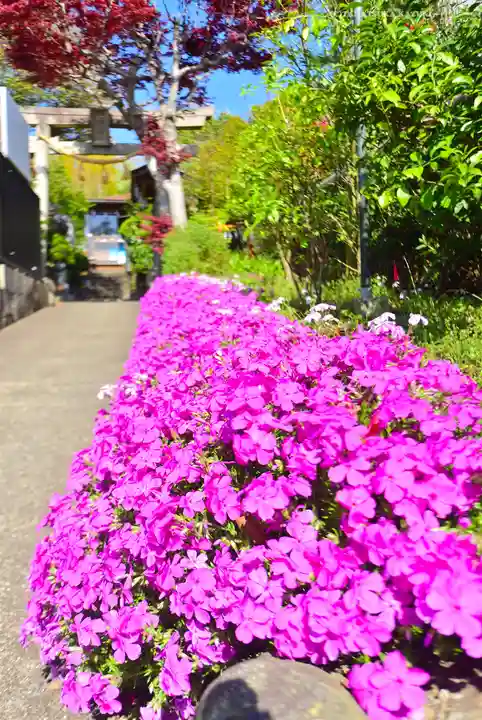 横浜御嶽神社(神奈川県)
