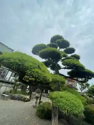 興全寺(神奈川県)