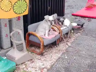 菊名神社(神奈川県)