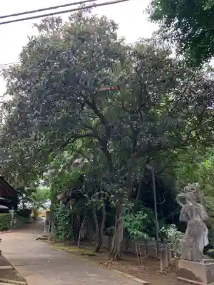 観照院(千葉県)