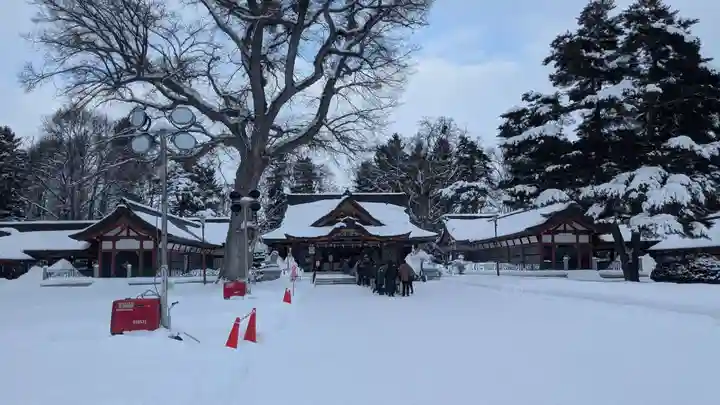 北海道護國神社の初詣
